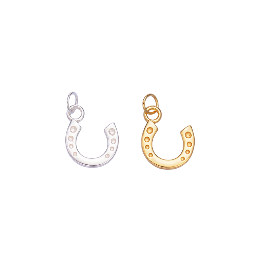 Lucky Horseshoe Charm