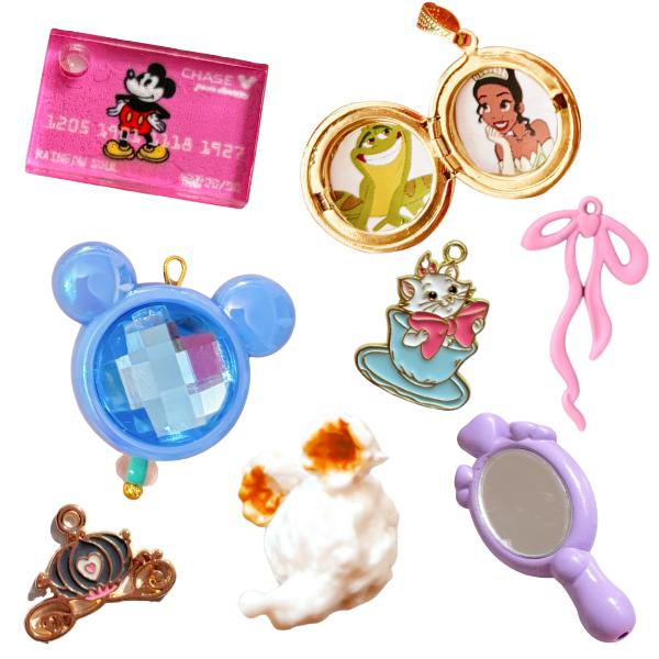 Parks Inspired Charms