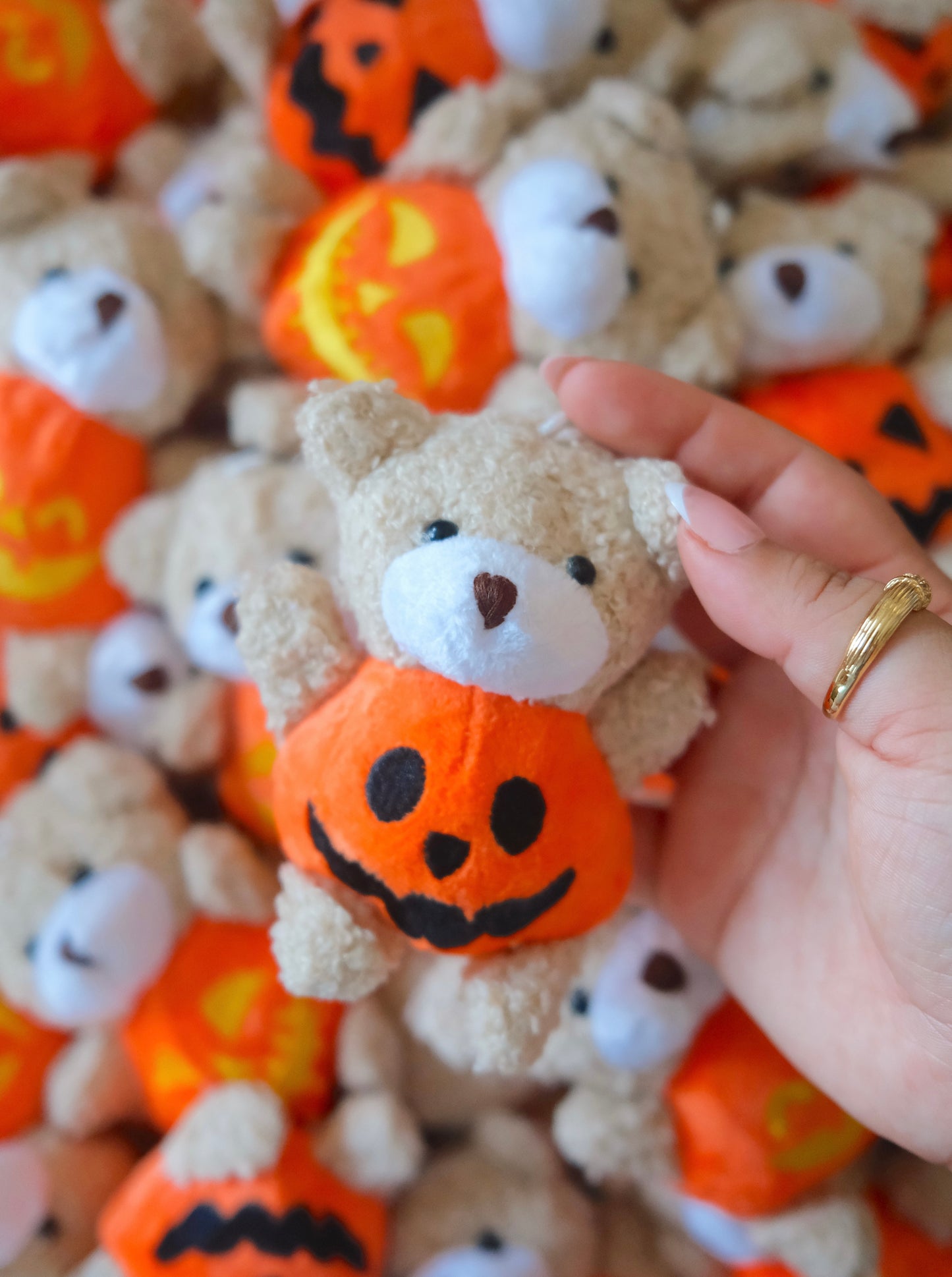 Teddy Pumpkin Plush Keychain