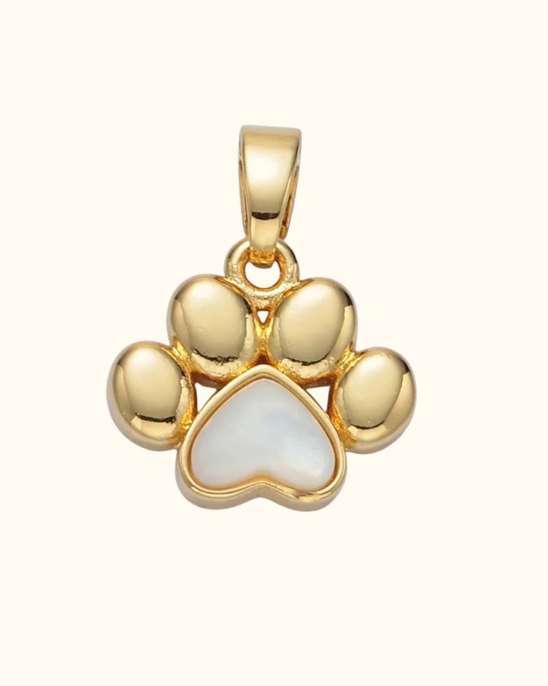 Abalone Shell Dog Paw